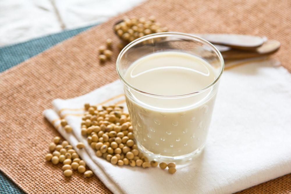 Milk Substitutes Lactose and Allergy Free Products Forkly