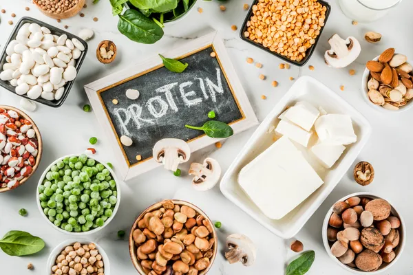 Plant Power! The Best Sources of Vegan Protein