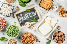 Plant Power! The Best Sources of Vegan Protein