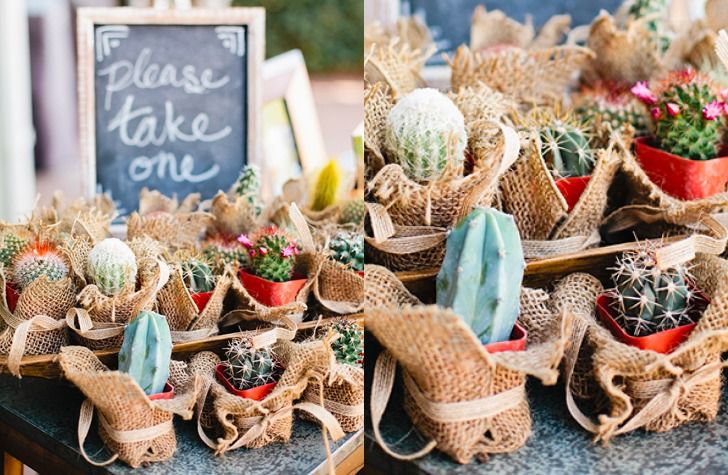 Recipes, Decor & Everything You Need To Host A Cactus Themed Party - Forkly