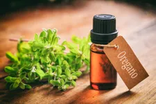 The Health Benefits of Oregano Oil