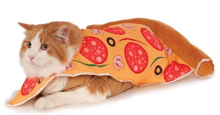 Food Themed Halloween Costumes For Your Pet Forkly