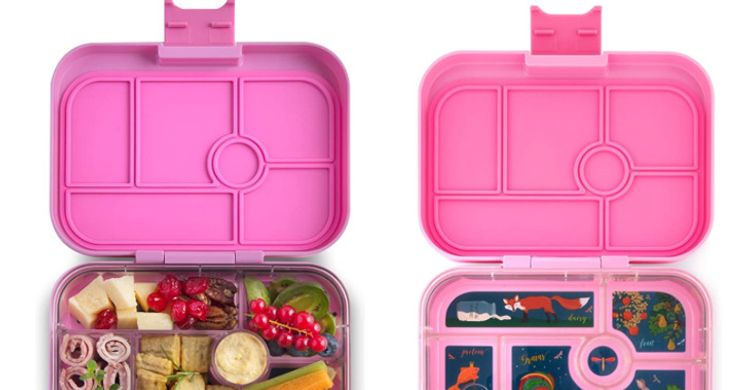 lunch containers for school